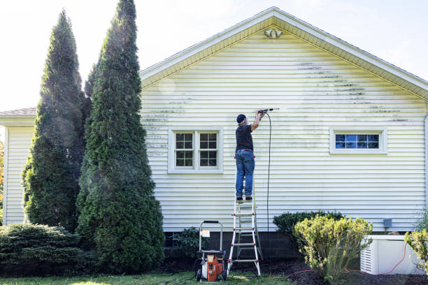 Best Sidewalk and Walkway Cleaning  in Marionville, MO